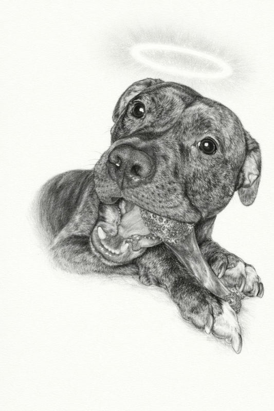 A Portrait That Captured His Beauty - Scott's Memorial Tribute